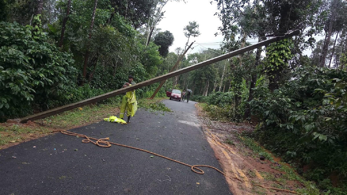 An electricity pole has been damaged in Kokeri.