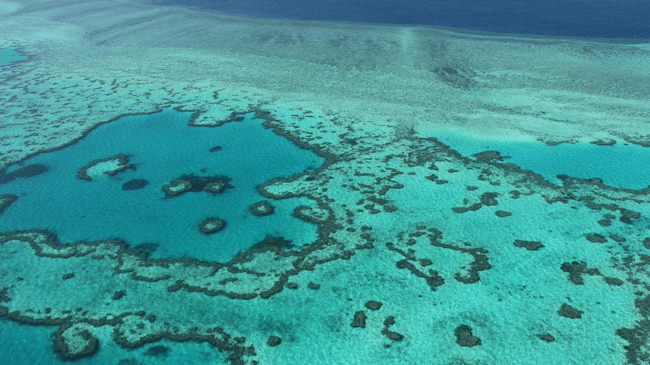 Australia has assailed the recommendation to add the Great Barrier Reef to the in-danger list after seeing the 2,300-kilometre (1,400 miles) system lose half its corals since 1995. Credit: AFP Photo