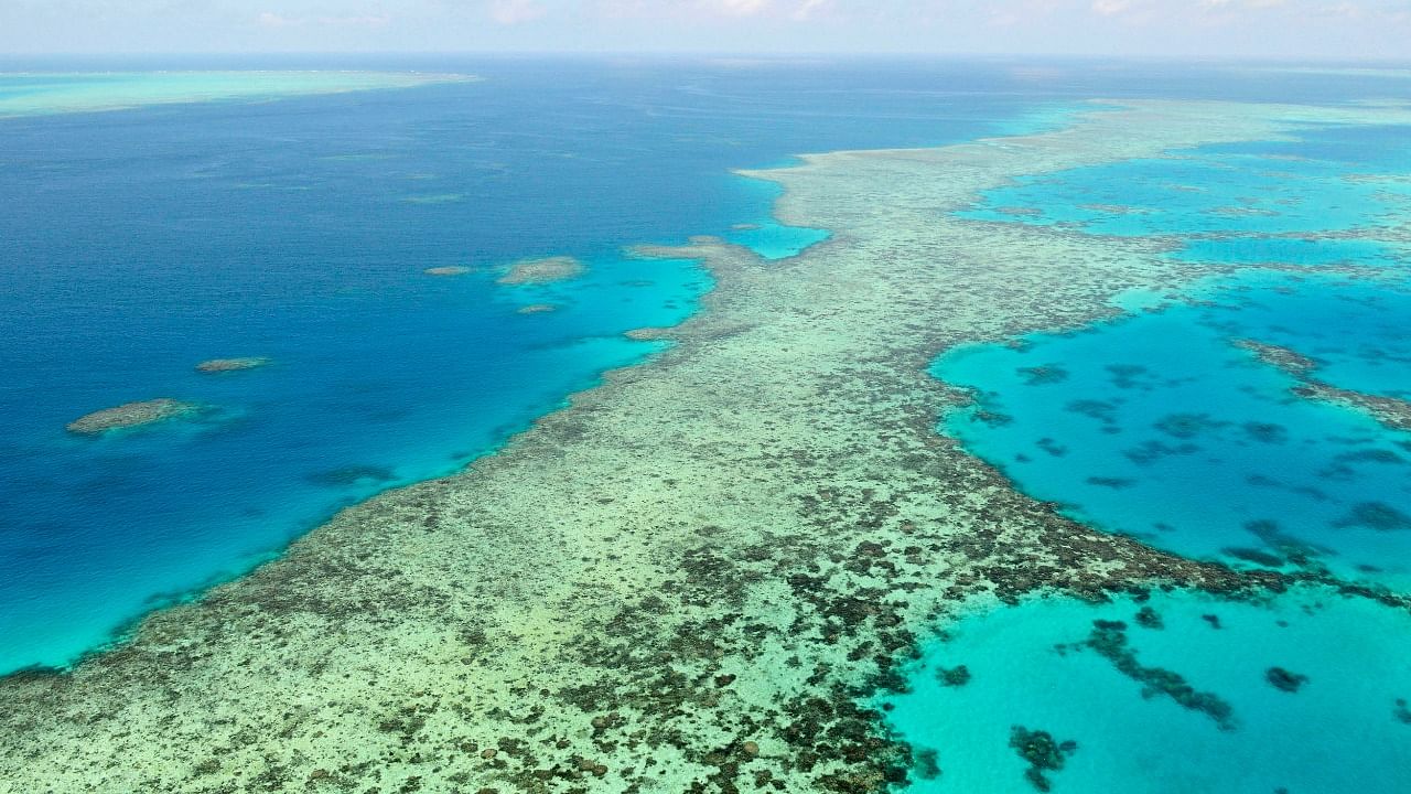 An aerial photo of the Great Barrier Reef. Credit: AP File Photo