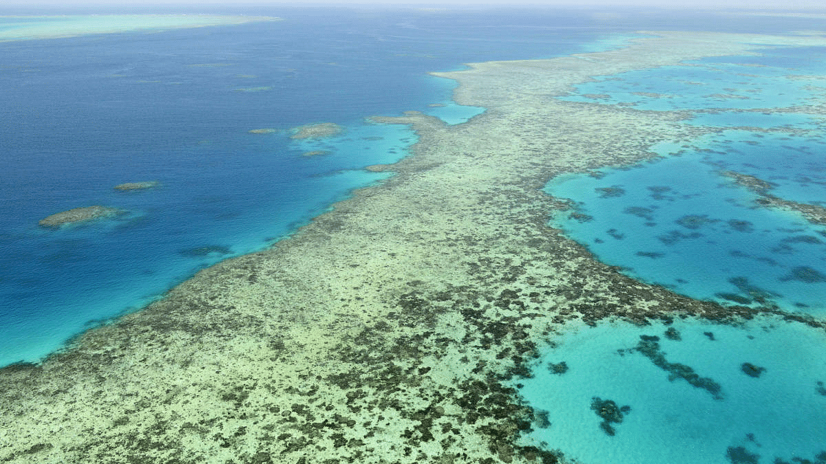 The Great Barrier Reef. Credit: AP Photo