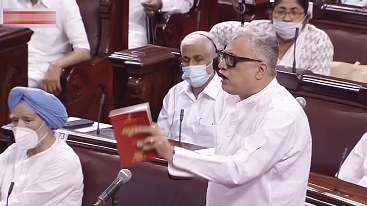 TMC MP Derek O'Brien speaks in the Rajya sabha. Credit: PTI Photo