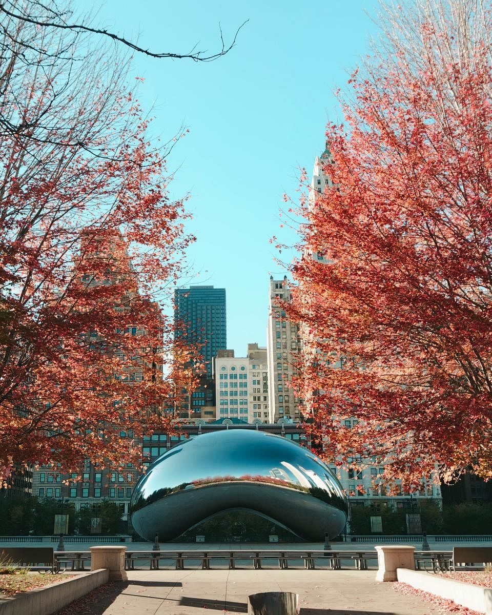 Cloud Gate is a public sculpture by Indian-born British artist Sir Anish Kapoor, that is the centrepiece of AT&amp;T Plaza at Millennium Park in Chicago. The sculpture is nicknamed The Bean
