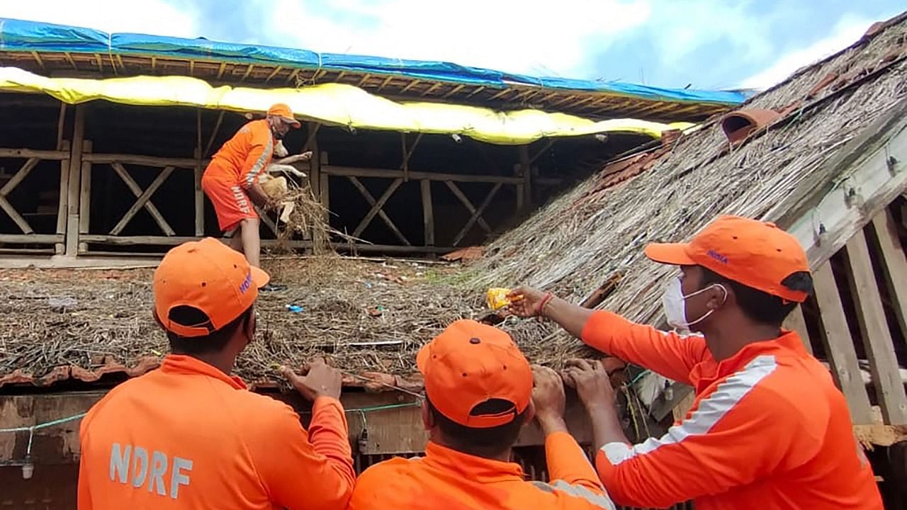 NDRF personnel rescuing a dog from the roof of a restaurant inundated with flood waters at Shirol of Kolhapur district of Maharashtra. Credit: AFP Photo