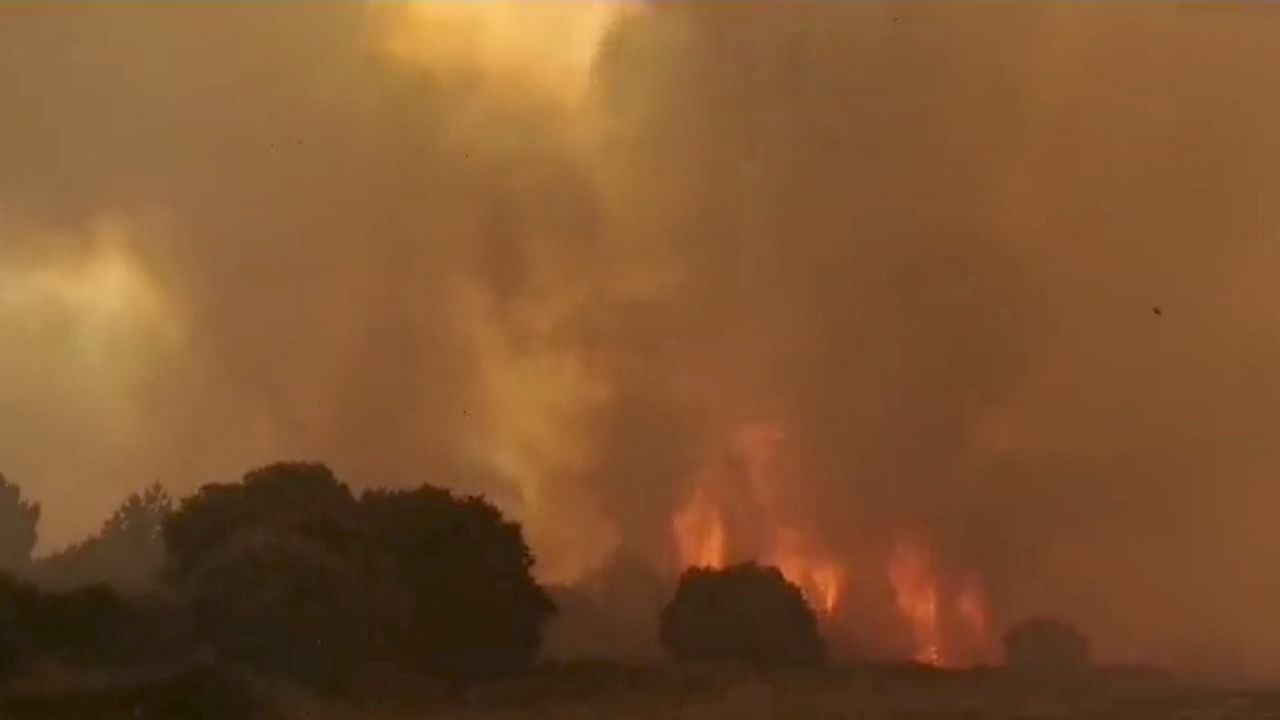 Smoke billows from a wildfire near Cuglieri, Sardinia, Italy July 25, 2021, in this screen grab obtained from a social media video. Credit: Reuters photo/Cronache Nuoresi