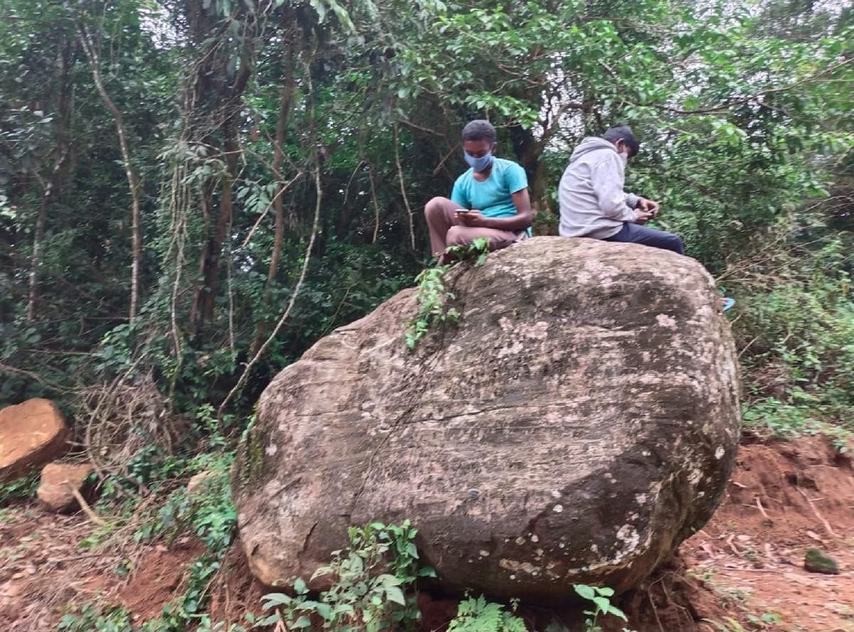 Students climb on a rock to attend online classes.