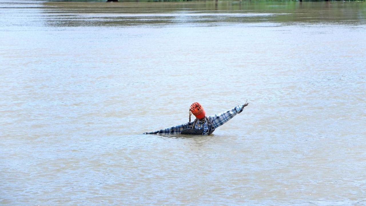 A scarecrow stays afloat in a flooded agricultural field on the banks of swollen Malaprabha river at Govanakoppa village in Badami taluk of Bagalkot district. Credit: DH photo
