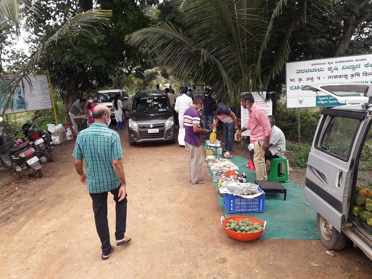 A view of the Saturday organic market held at Taralabalu Krishi Vijnana Kendra in Davangere. Photo courtesy: Taralabalu KVK