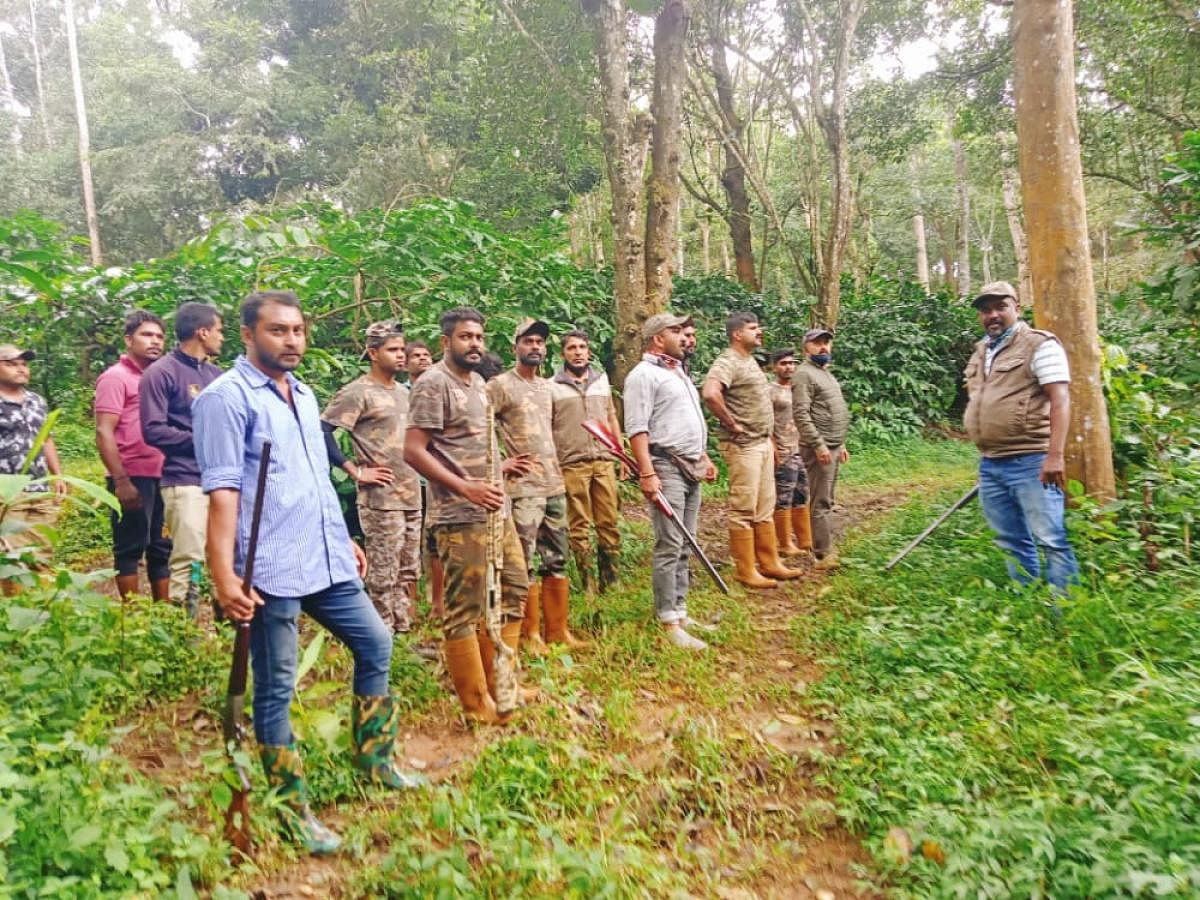 Forest department staff take part in the operation.