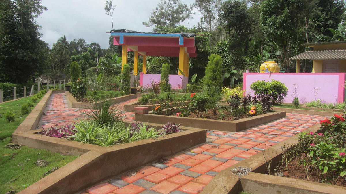 A park in front of the anganwadi centre in Nelaji village.