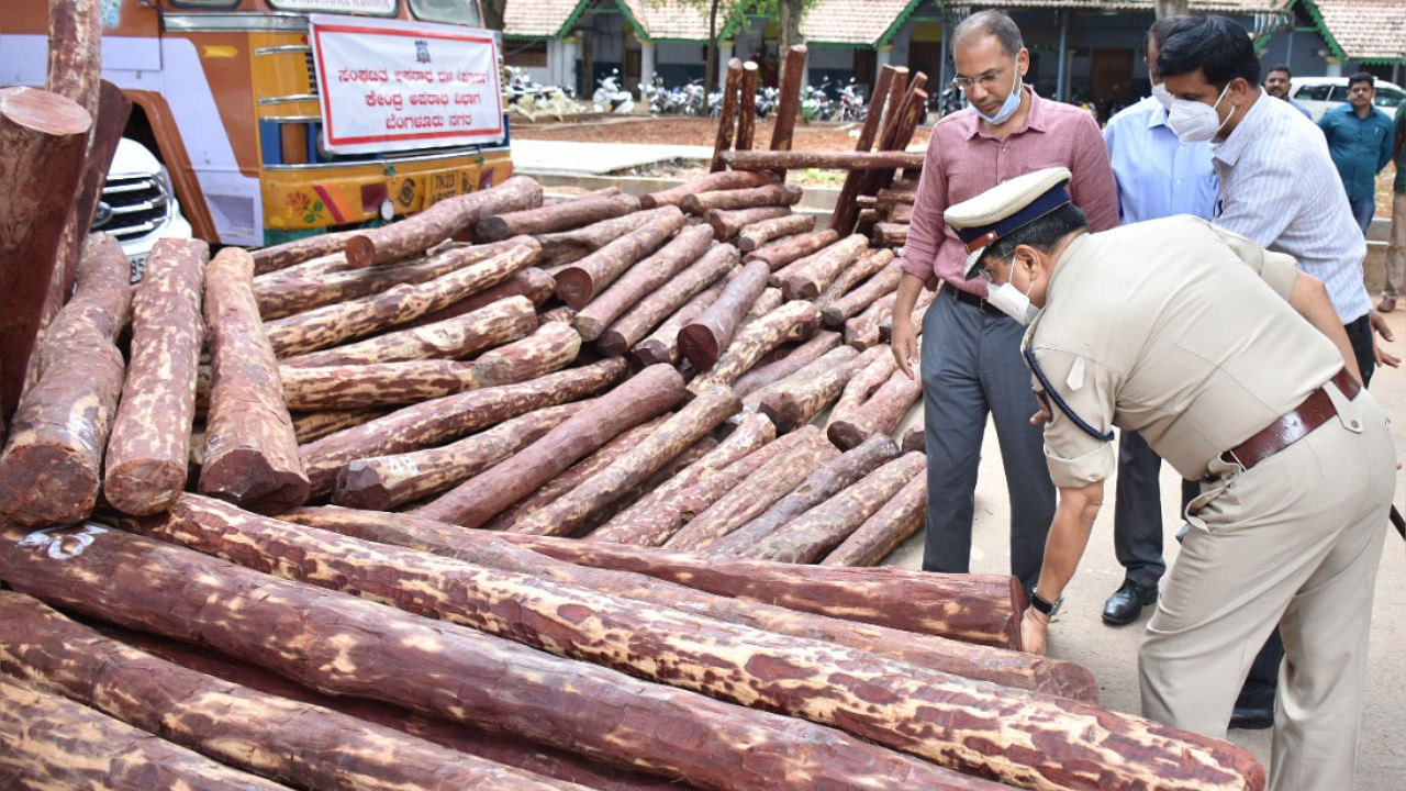 Senior police officers inspect the red sanders seized. Credit: DH Photo