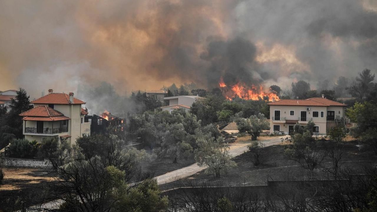 Hundreds of firefighters battled a blaze on the outskirts of Athens on August 6 as dozens of fires raged in Greece. Credit: AFP Photo