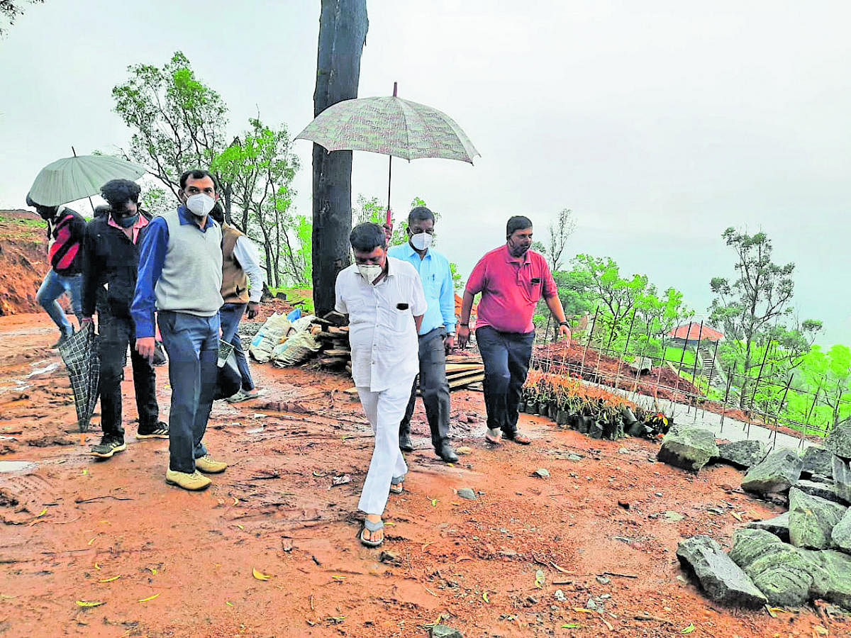 MLA M P Appachu Ranjan inspects the ongoing work at Raja Seat in Madikeri.