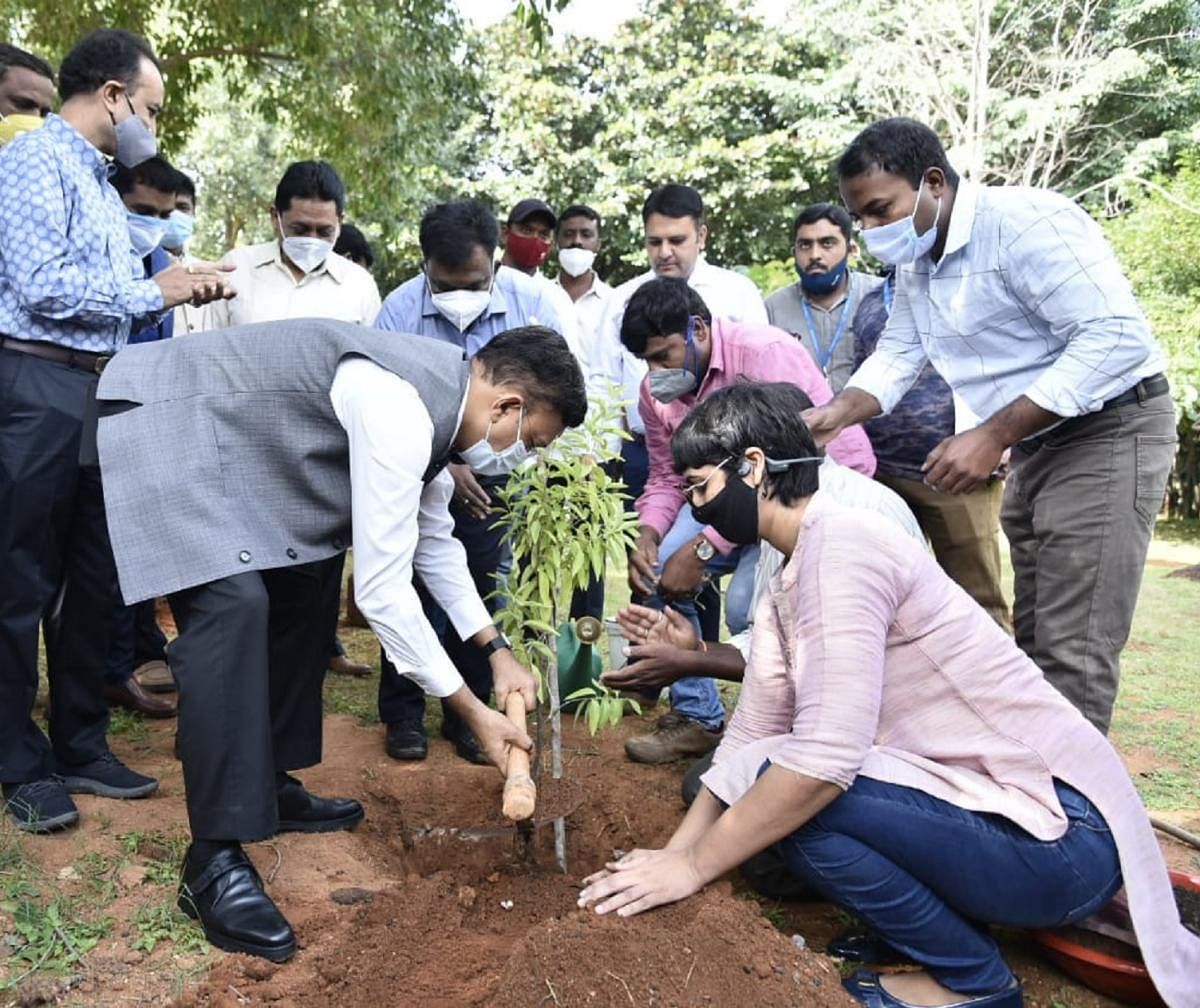 BBMP Chief Commissioner Gaurav Gupta plants a sapling at Freedom Park on Saturday. Credit: DH Photo/B K Janardhan
