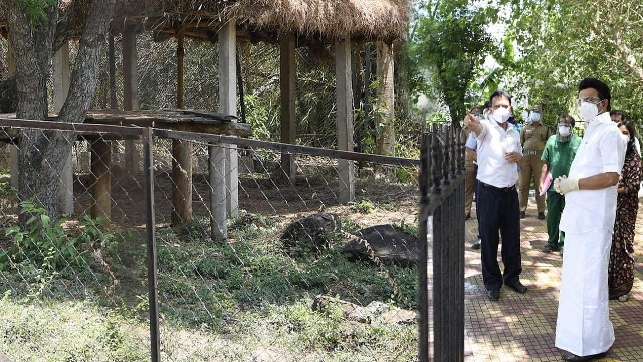 CM Stalin at the zoo after lions test positive for Covid-19. Credit: Twitter/@mkstalin