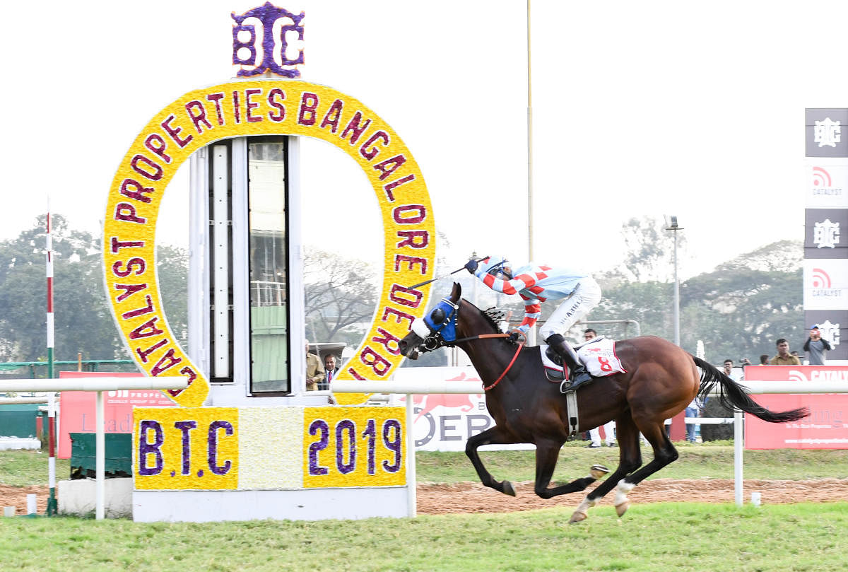 A horse during a derby at the Bangalore Turf Club. DH FILE PHOTO/B H SHIVAKUMAR