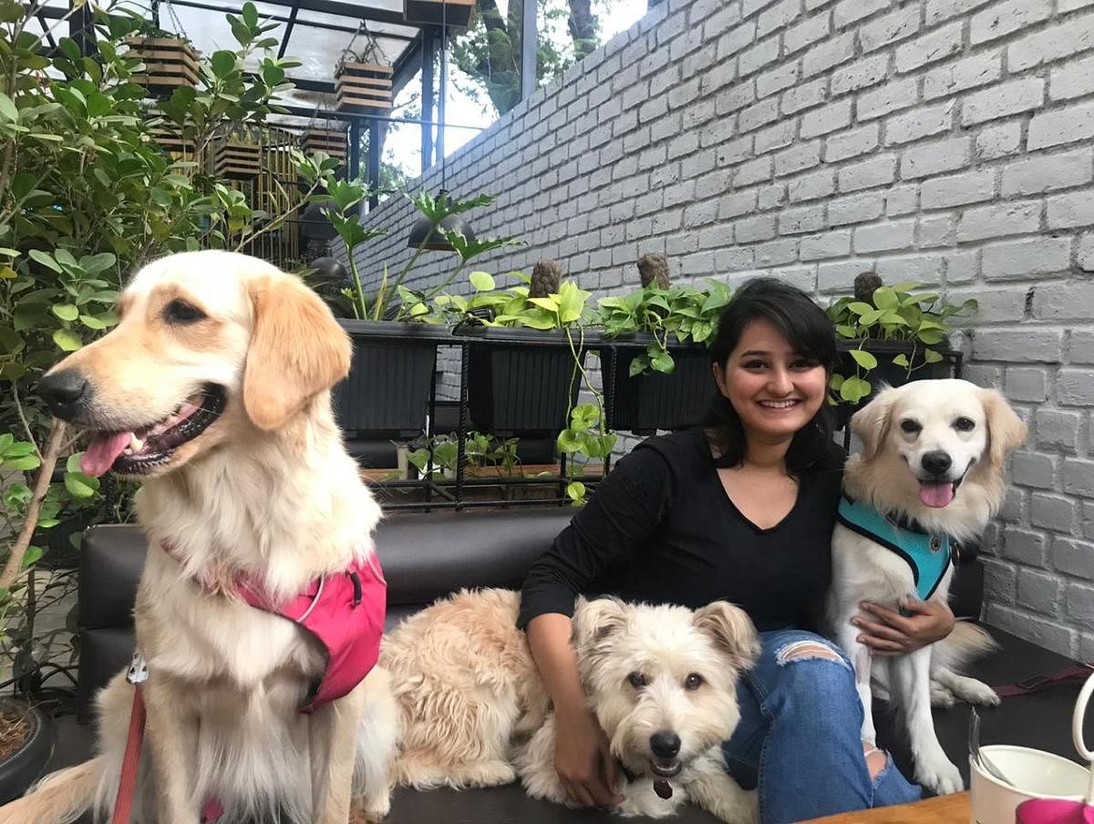 After the lockdown began, Shagun Ohri started the practice of leaving her pets inside the house and moving for a while to the balcony. This got them used to being alone.