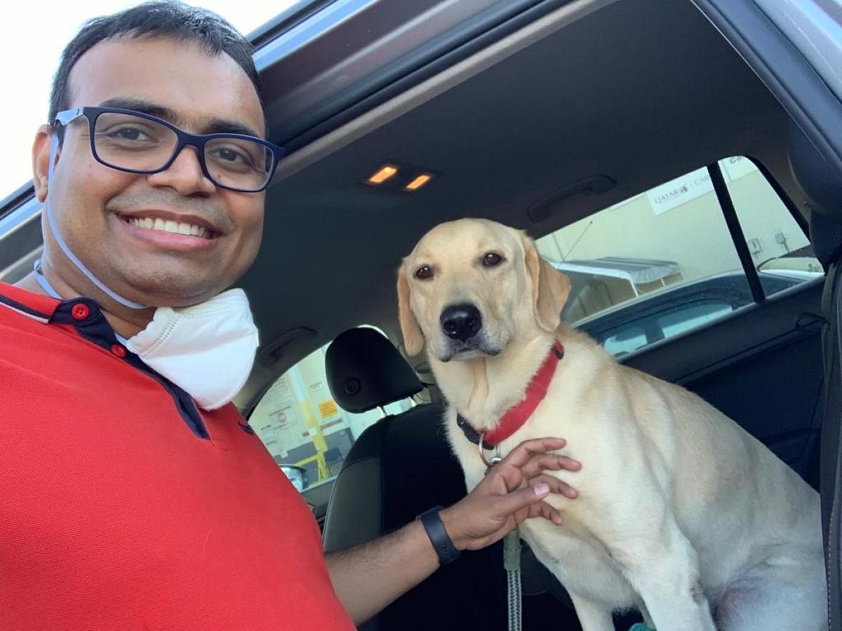 This labrador travelled from Bengaluru to Los Angeles on Qatar Airlines, and then to San Francisco in his parent’s car.