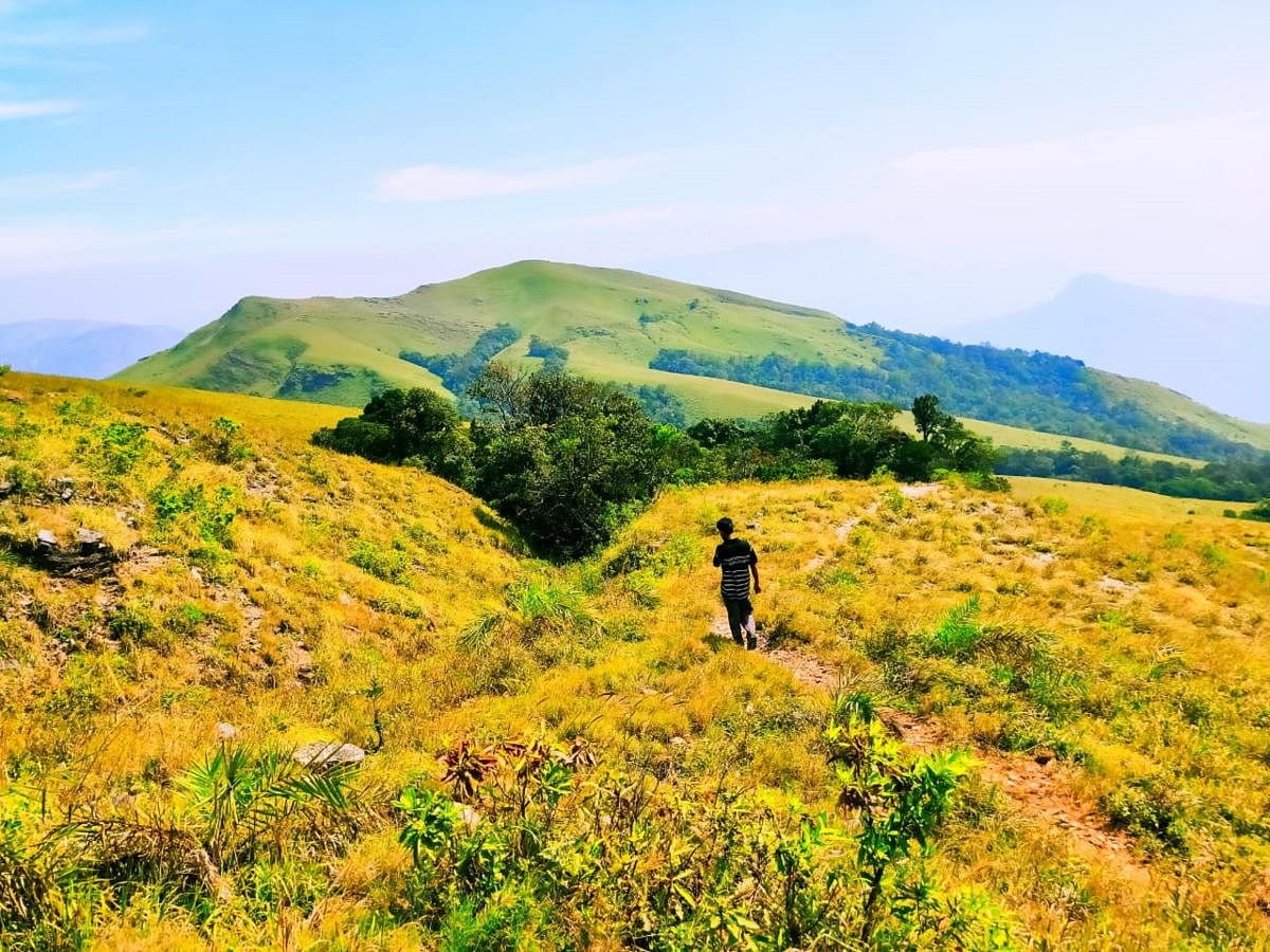 World Trails, Malleswaram, has seen an increased demand for adventure activities such as trekking, cycling and river rafting in places like Chikkamagaluru.