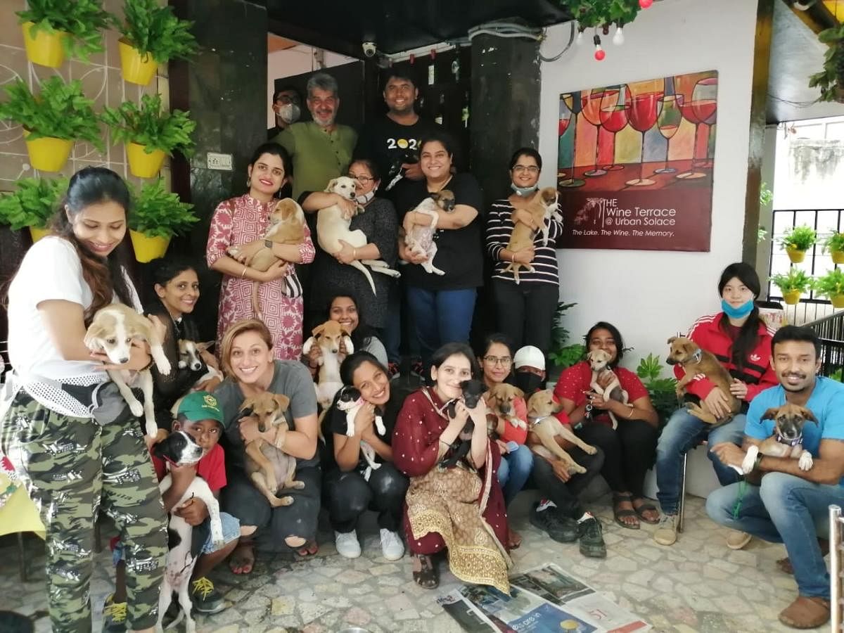 From an earlier adoption drive conducted by Kez Klein and Divya Vinod.
