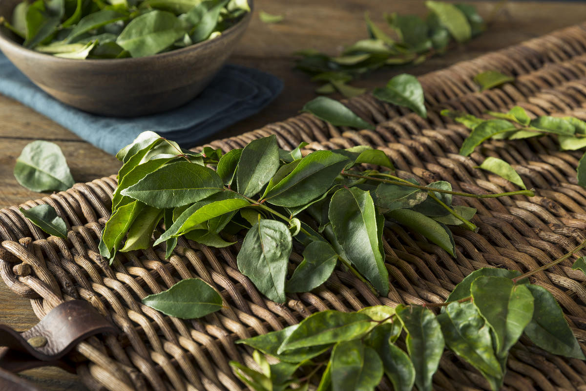 Spluttering curry leaves into your dishes magically enhances the flavour