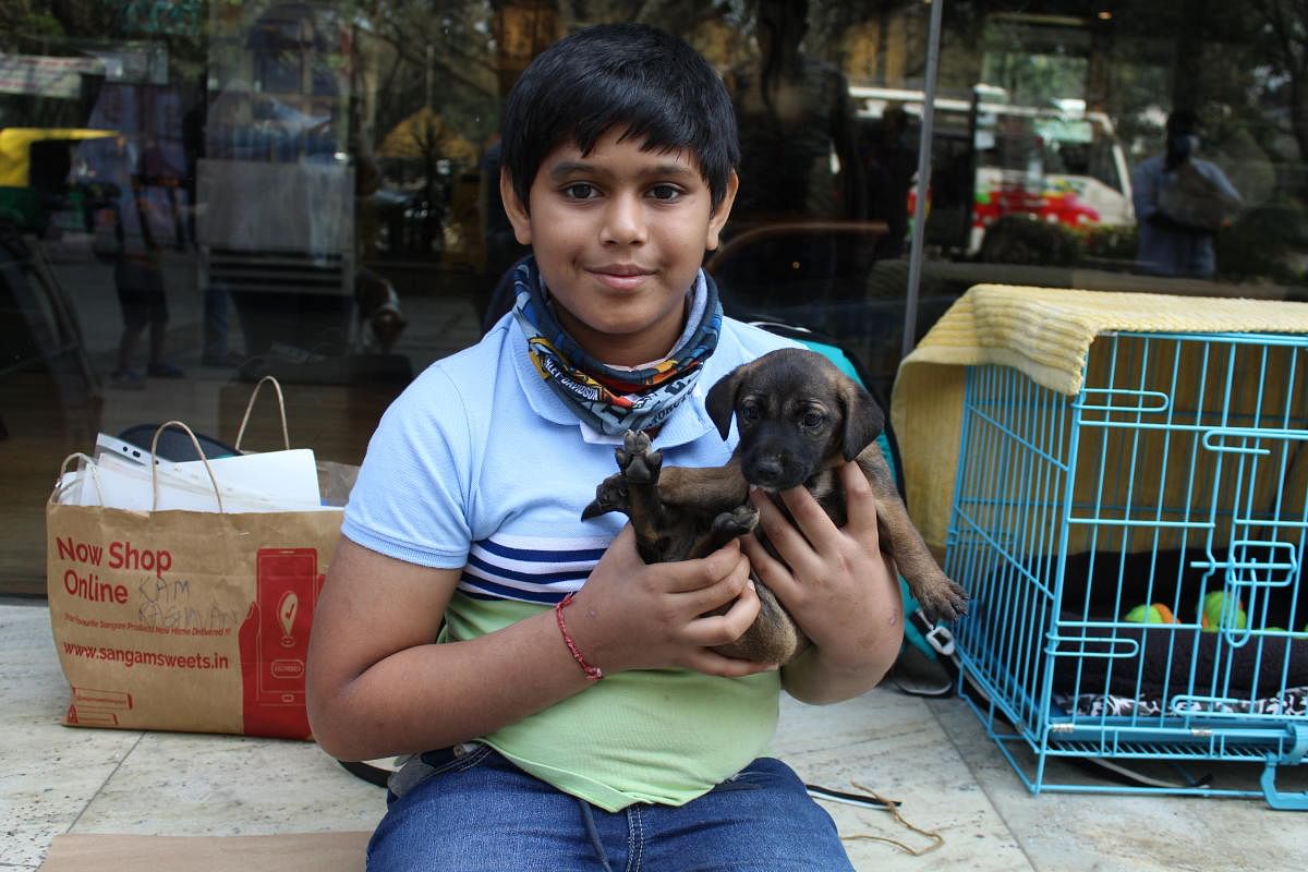 A volunteer at the drive with one of the puppies up for adoption.