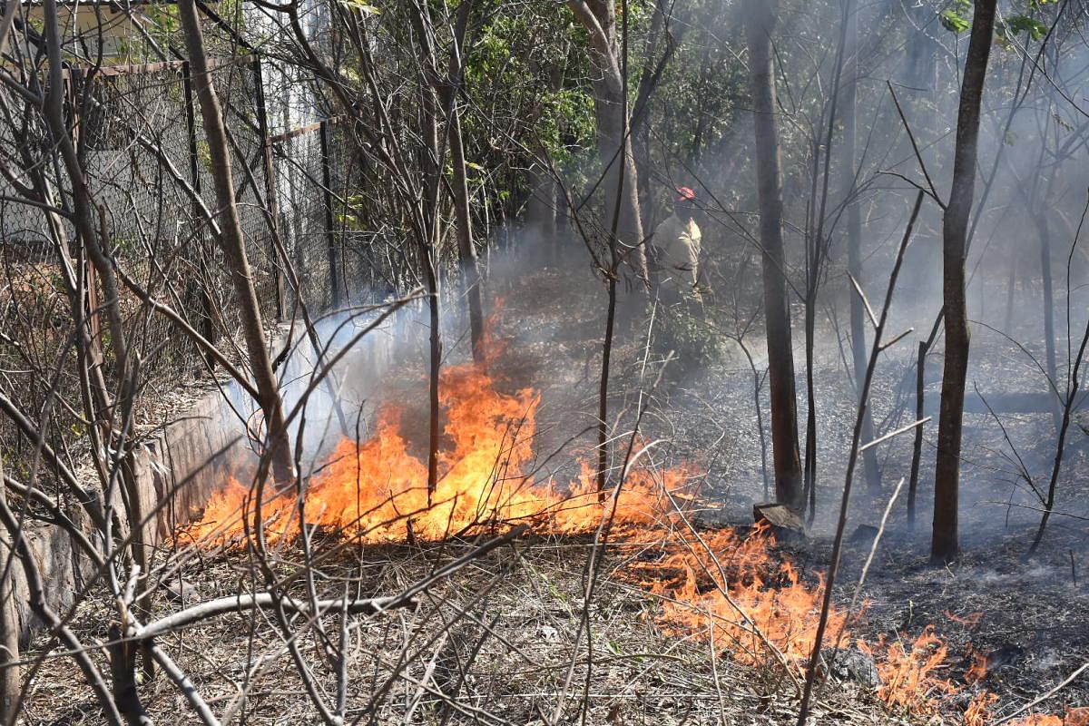 Fire at 'Pushpakashi' park near Kukkarahalli Lake in Mysuru on Thursday.