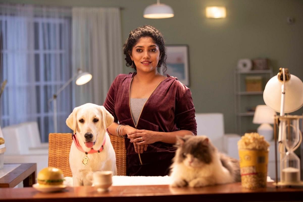 Samyukta Hornad will be seen in an advertisement for pets’ lifestyle goods. It is directed by P C Shekar.