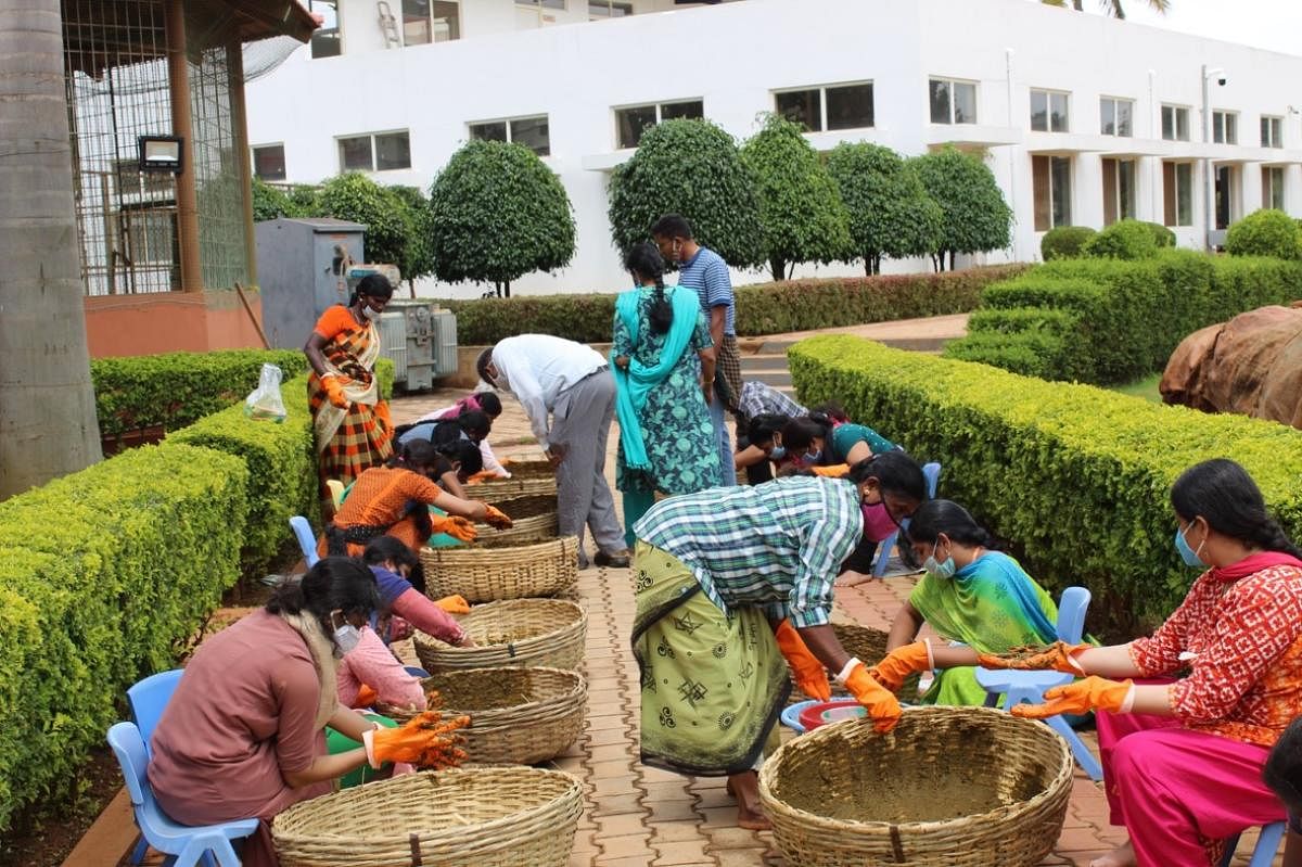 A team of bus drivers, canteen chefs, cleaners and teachers was formed to use empty plots on the campus to grow fruits, vegetables and herbs.