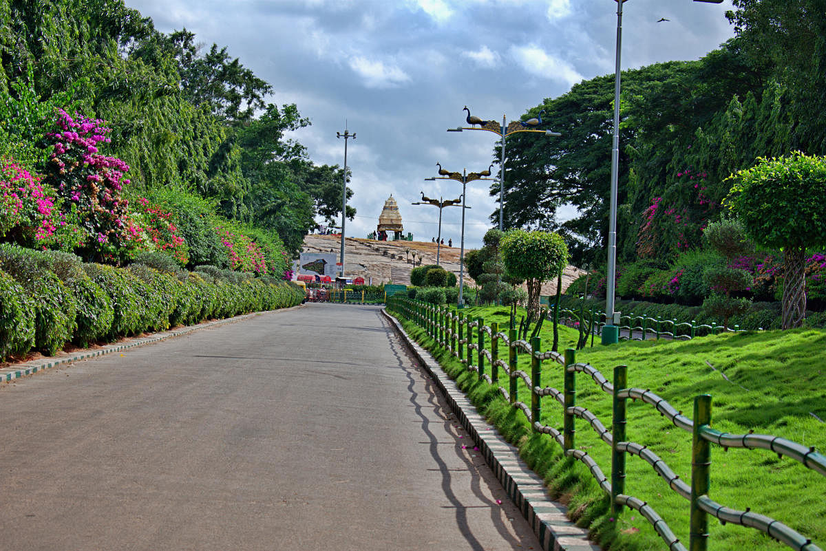 A sweeping view of the Lalbagh Botanical Garden.