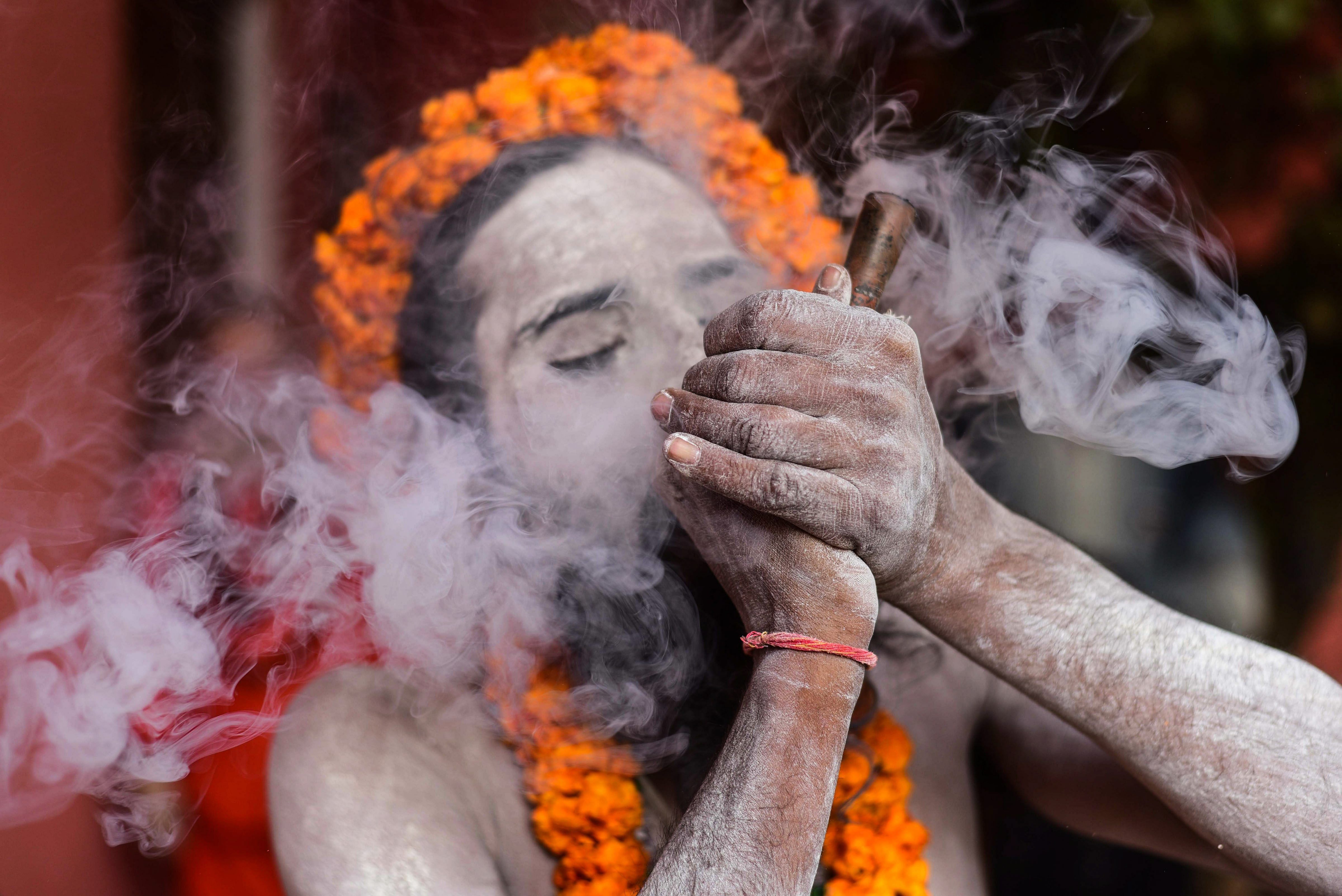 The question of the legality of marijuana falls in a grey area in India. While medicinal usage is not unlawful, recreational use is. However, the intoxicant has deep ties with spirituality in India. (Above) A Naga sadhu smokes up at the Kumbh Mela 2019.