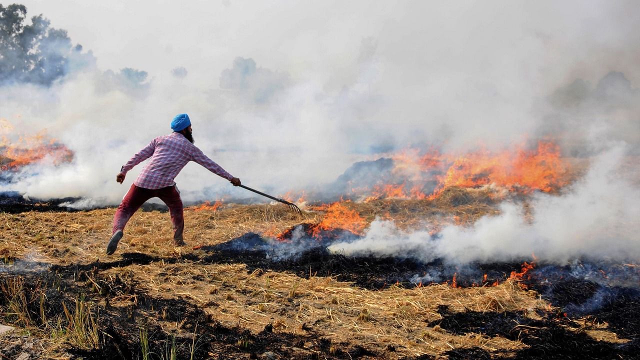 The pollution and smokey haze around the adjoining states of Punjab and Haryana, especially New Delhi has been linked with stubble burning and is said to be a contributing factor for increasing air pollution. Credit: PTI File Photo
