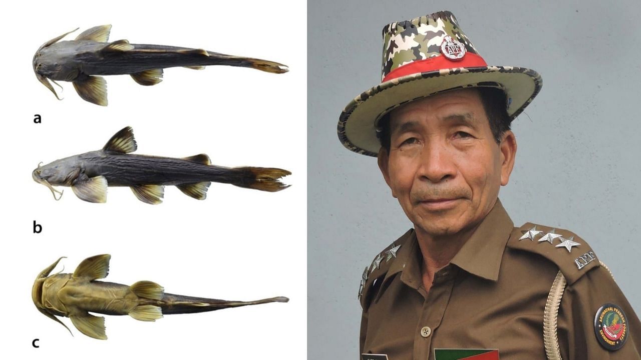 Rupir Boli, the range forest officer after whom the new catfish species from the Siang river in Arunachal Pradesh has been named. Credit: Mouling National Park, Arunachal Pradesh/Zootaxa