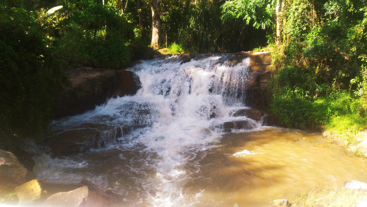 Haleri Falls near Suntikoppa.