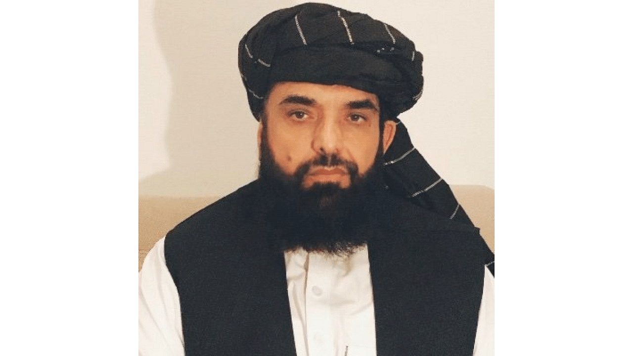 Taliban spokesperson Suhail Shaheen. Credit: Twitter/@suhailshaheen1