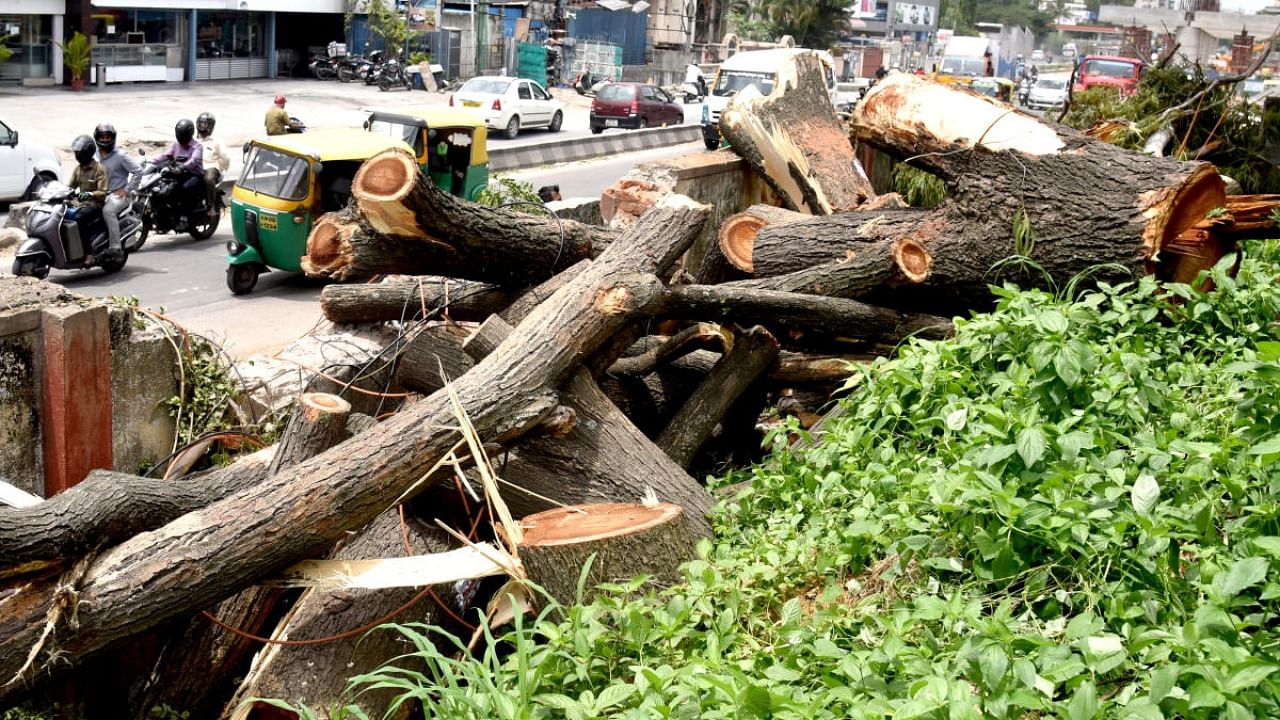 The BMRCL has proposed to axe 4,538 trees for building the airport metro line. Credit: DH file photo/S K Dinesh