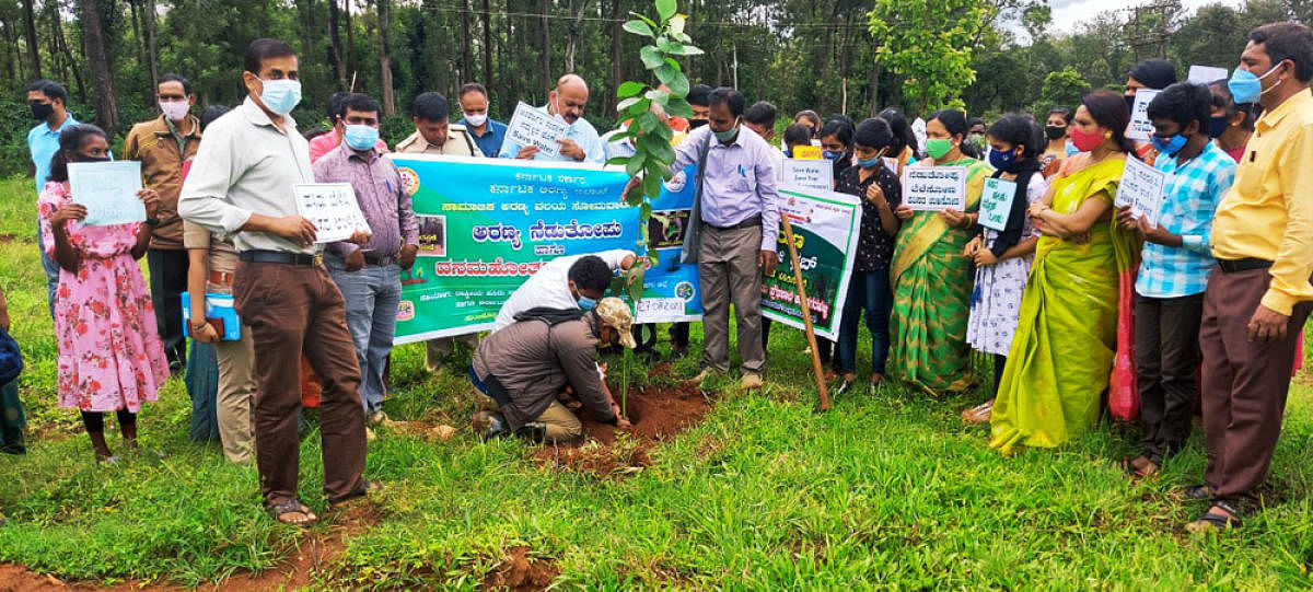 Saplings were planted under the social forestry scheme, in Kodagarahalli village, on Sunday. Credit: DH photo
