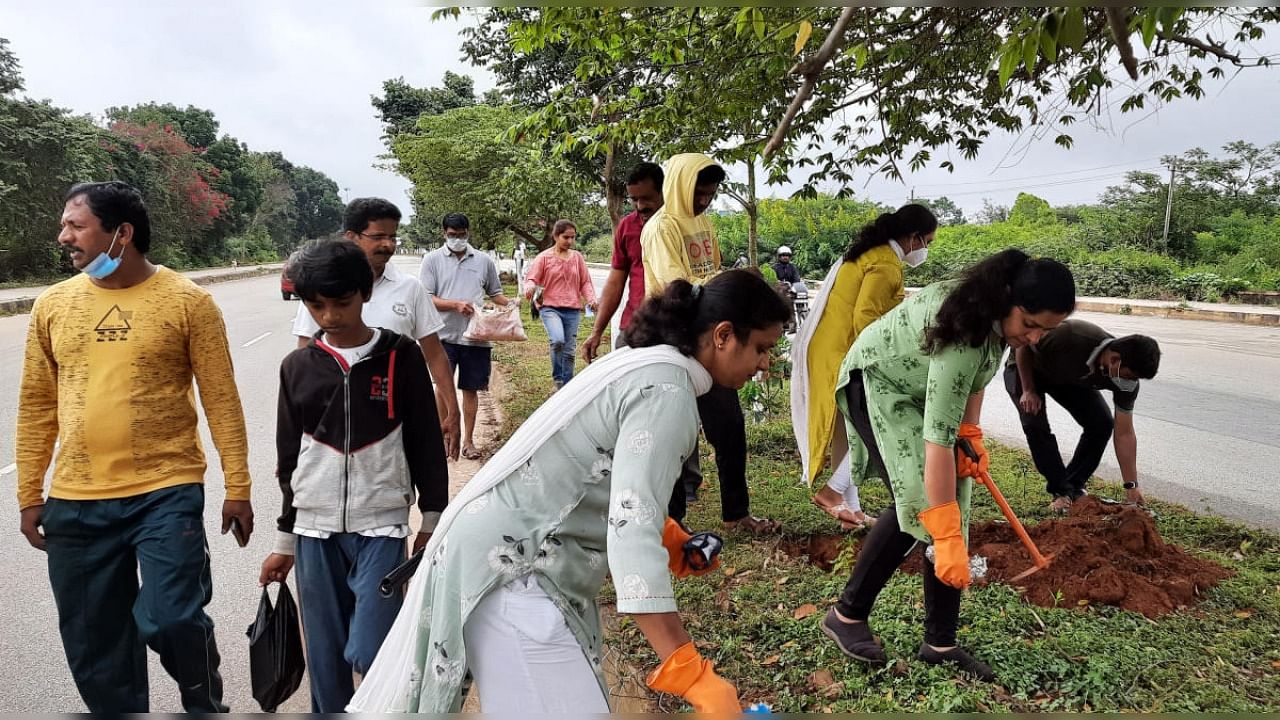 Volunteers remove garbage before planting the sapling on Ring Road in Hassan on Sunday. Credit: DH photo
