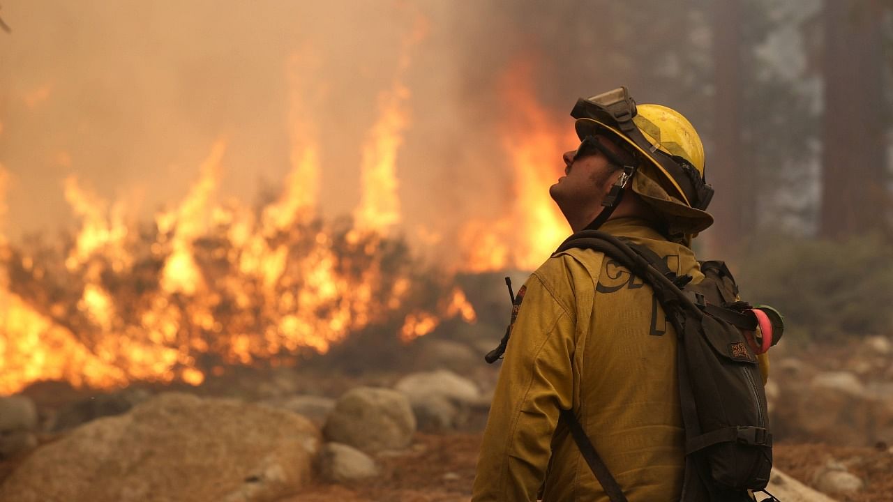 A Cal Fire firefighter monitors trees while battling the Caldor Fire on August 31, 2021 in Meyers, California. The Caldor Fire has burned over 190,000 acres, destroyed hundreds of structures and is currently 16 percent contained. Credit: Justin Sullivan/Getty Images/AFP Photo