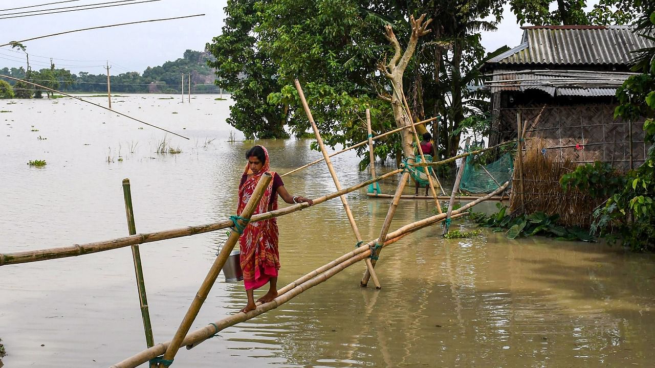 A woman walks on a makeshift bamboo bridge as she crosses a flood affected area in Assam. Credit: PTI Photo