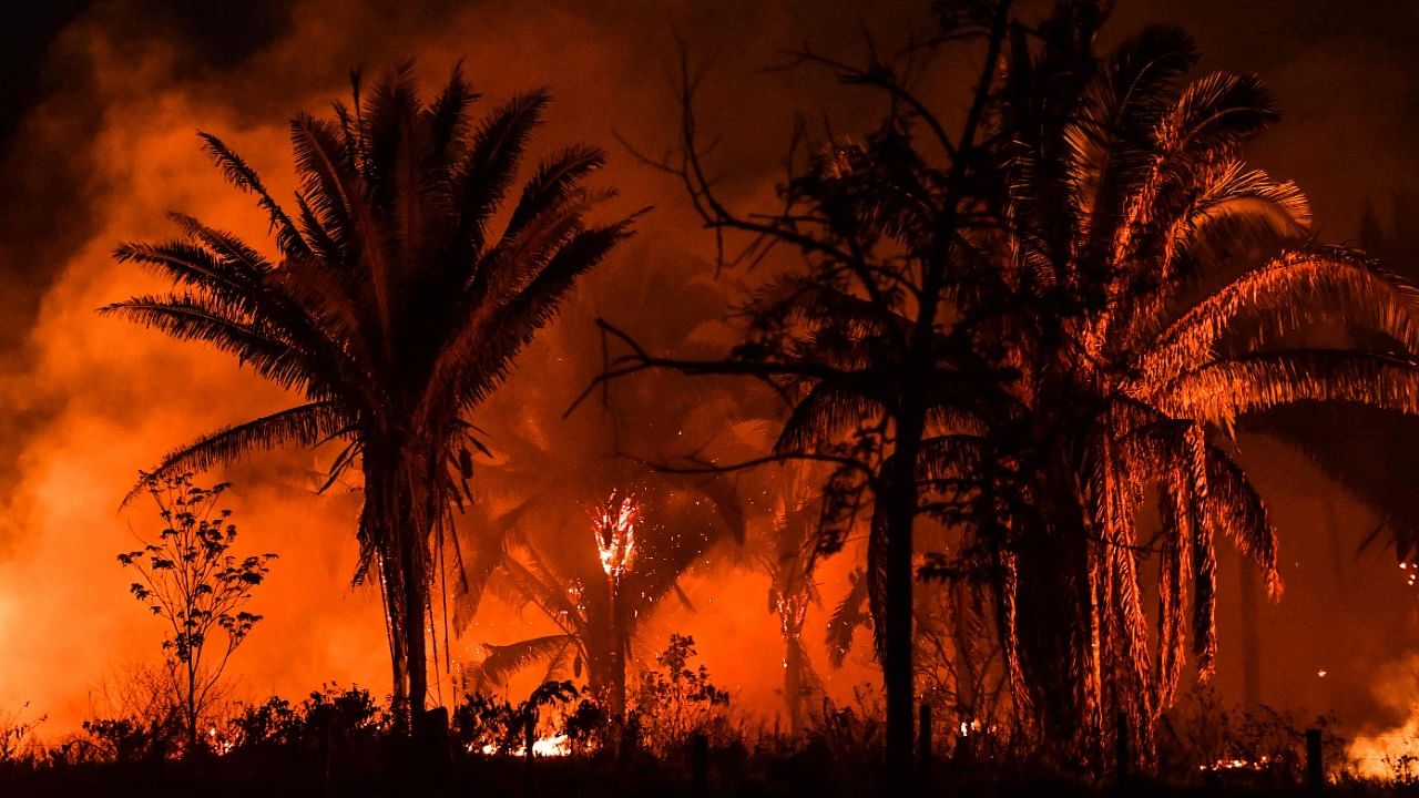The number of fires in the Brazilian Amazon as the burning season opened in August fell slightly from 2020, but remained close to the near-decade highs seen under President Jair Bolsonaro, new data showed on September 1, 2021. Credit: AFP File Photo