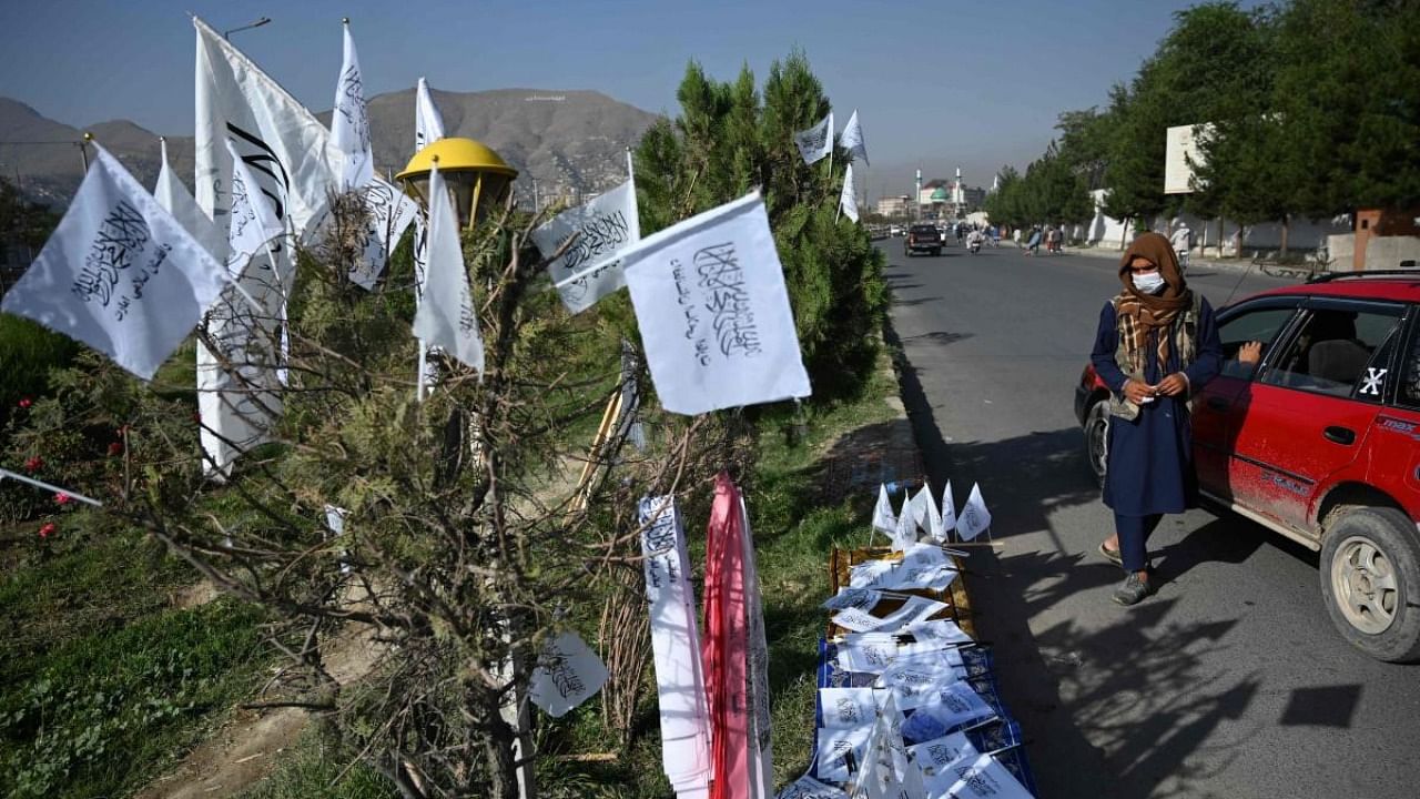 A man displays Taliban flags for sale on a tree while waiting for customers at roadside in Kabul. Credit: AFP Photo