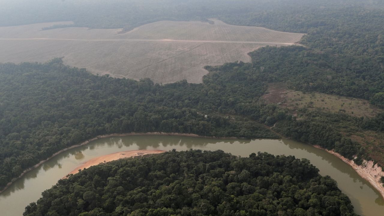 A deforested plot of the Amazon. Credit: Reuters Photo