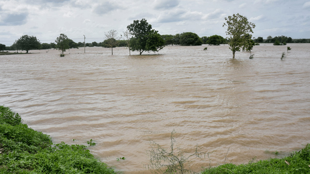 River Bhima is in spate as about 95,000 cusecs of water has been released from Sonna barrage in Afzalpur taluk of Kalaburagi district. Credit: DH File Photo