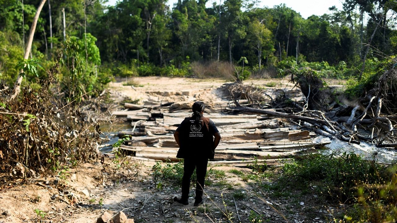 Brazil releases data on Amazon rainforest destruction for August. Credit: Reuters Photo