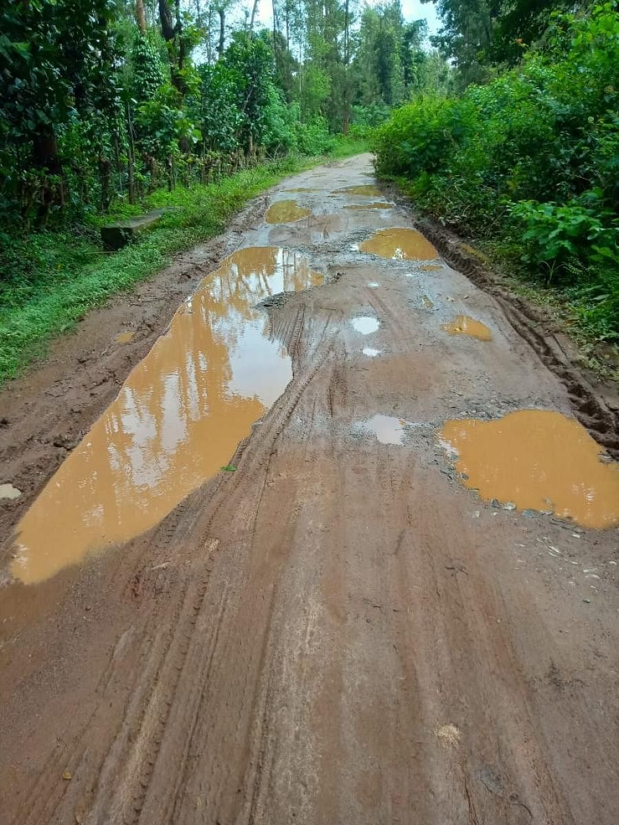 The pothole-ridden main road leading to Kattepura in Besur Gram Panchayat.