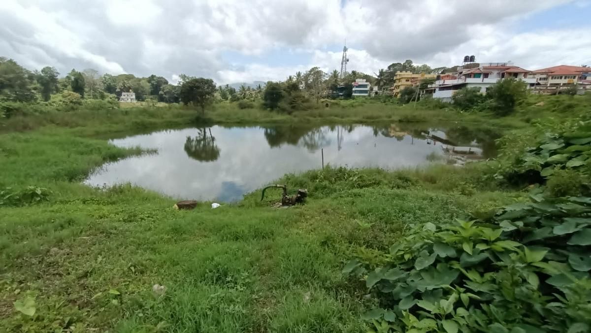 Akkacchammana Kere in Shivakeri in Virajpet.