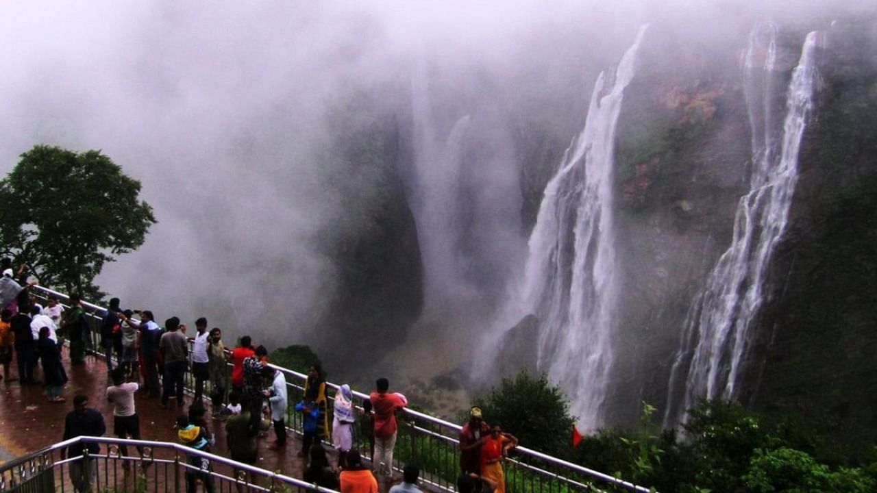 The staff of the department would examine vaccination reports at the entrance of Jog Falls. Credit: DH File Photo