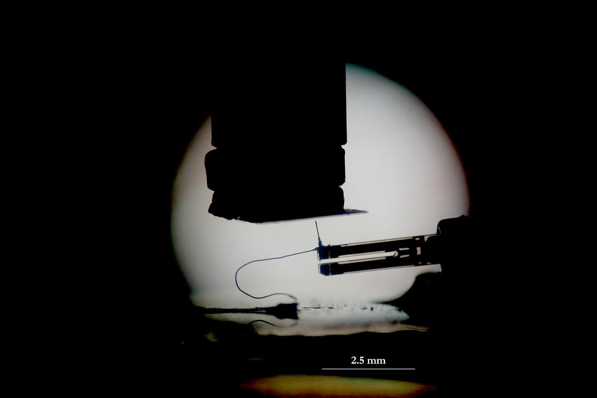 The experimental set up of the ultra-high vacuum STM-AFM created in a lab in Pune. Credit: Special Arrangement/Pankaj Sekhsaria 