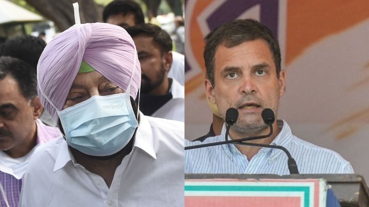 Amarinder Singh (left) and Rahul Gandhi. Credit: PTI file photos