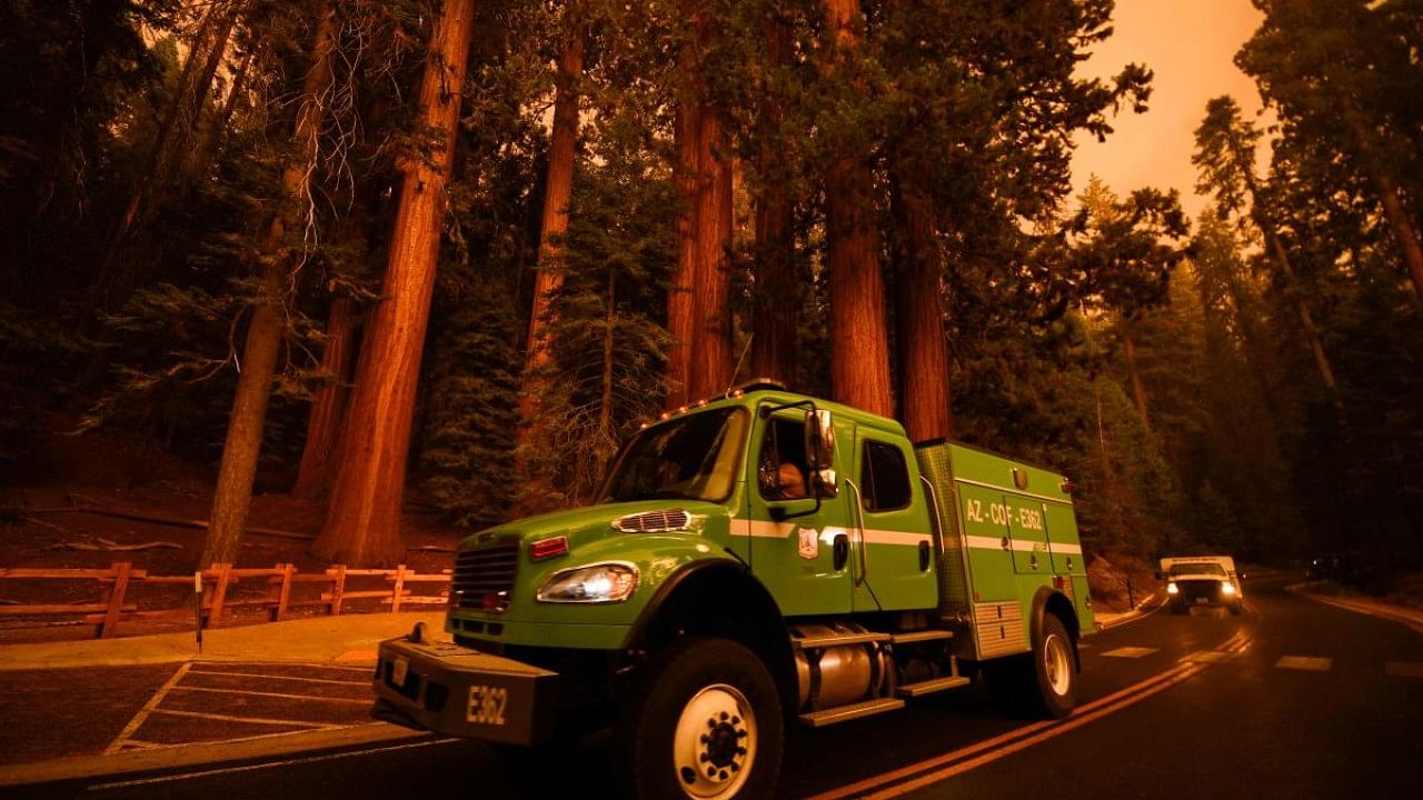 Firefighting vehicles drive past giant sequoia trees among smoke filled skies in the "Lost Grove" along Generals Highway north of Red Fir. Credit: AFP Photo